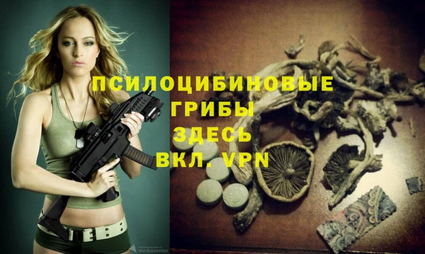 круглые Иннополис