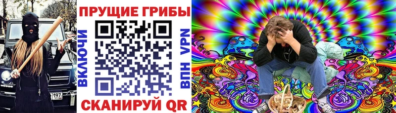 хочу наркоту Камышлов Галлюциногенные грибы мухоморы